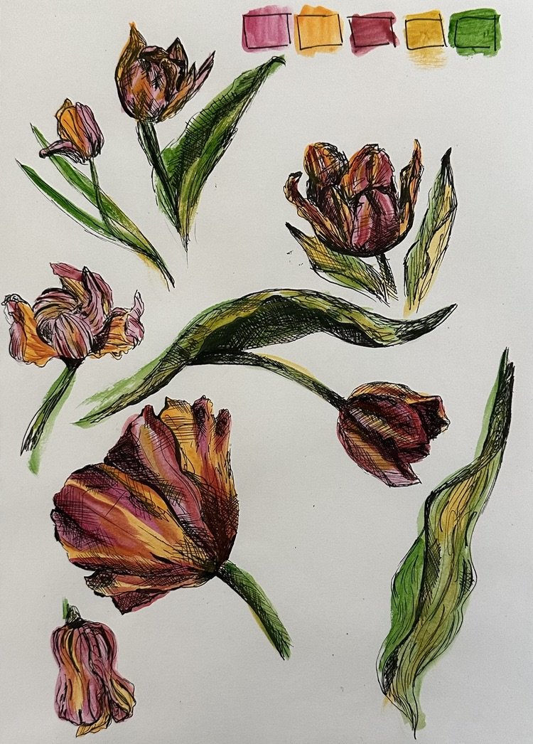 TulipStudies.jpeg