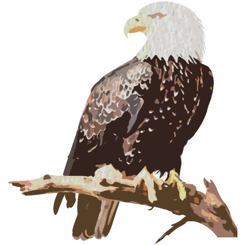 EagleSitting.png