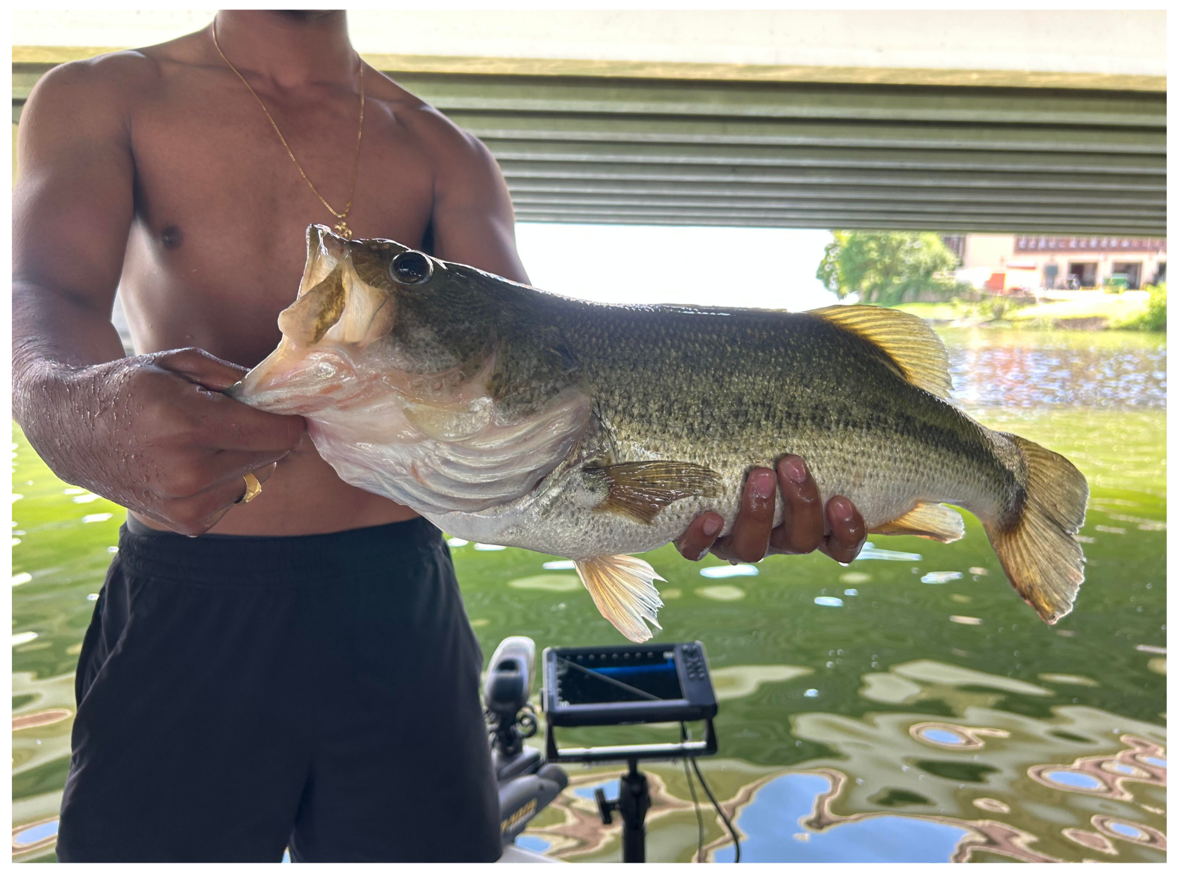 SIX POUNDER ON THE 6" Watermelon DRIFT STICK!!
