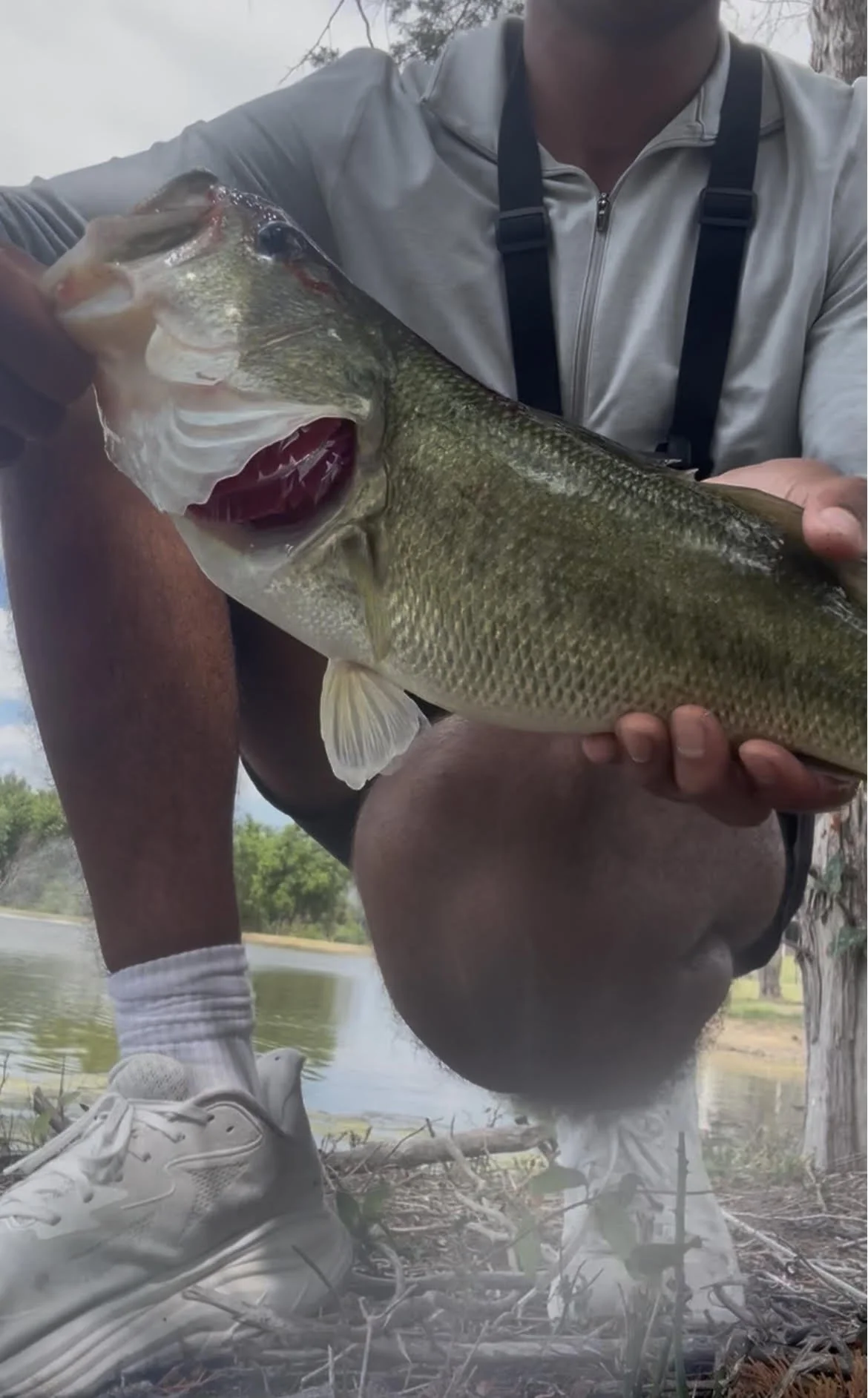 Watermelon Drift Stick bite on the wacky rig!