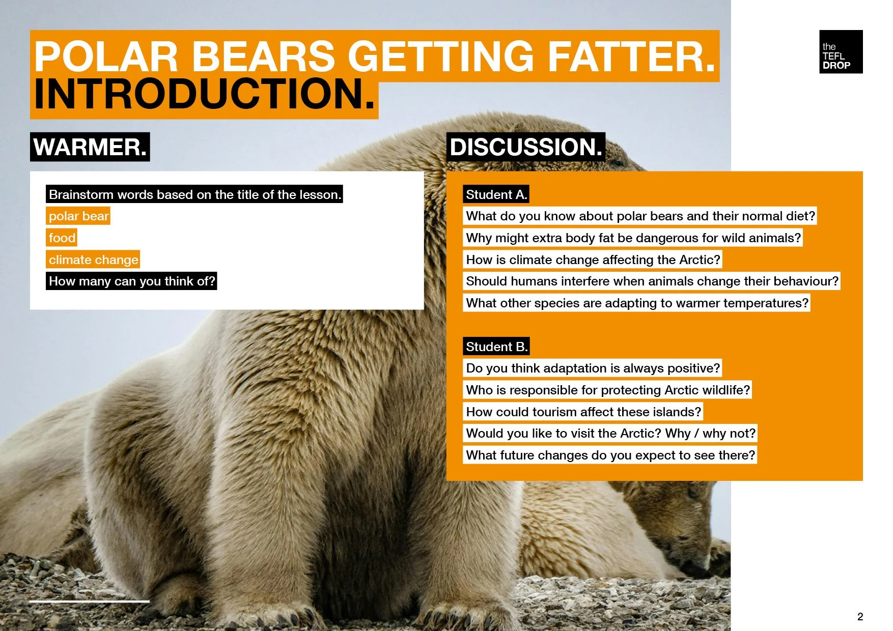 the TEFL Drop - 074 - News - Polar Bears Fatter2.jpg