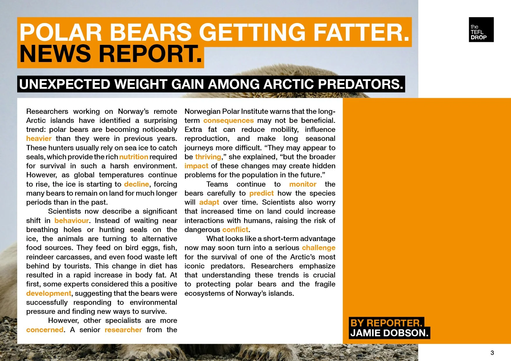 the TEFL Drop - 074 - News - Polar Bears Fatter3.jpg
