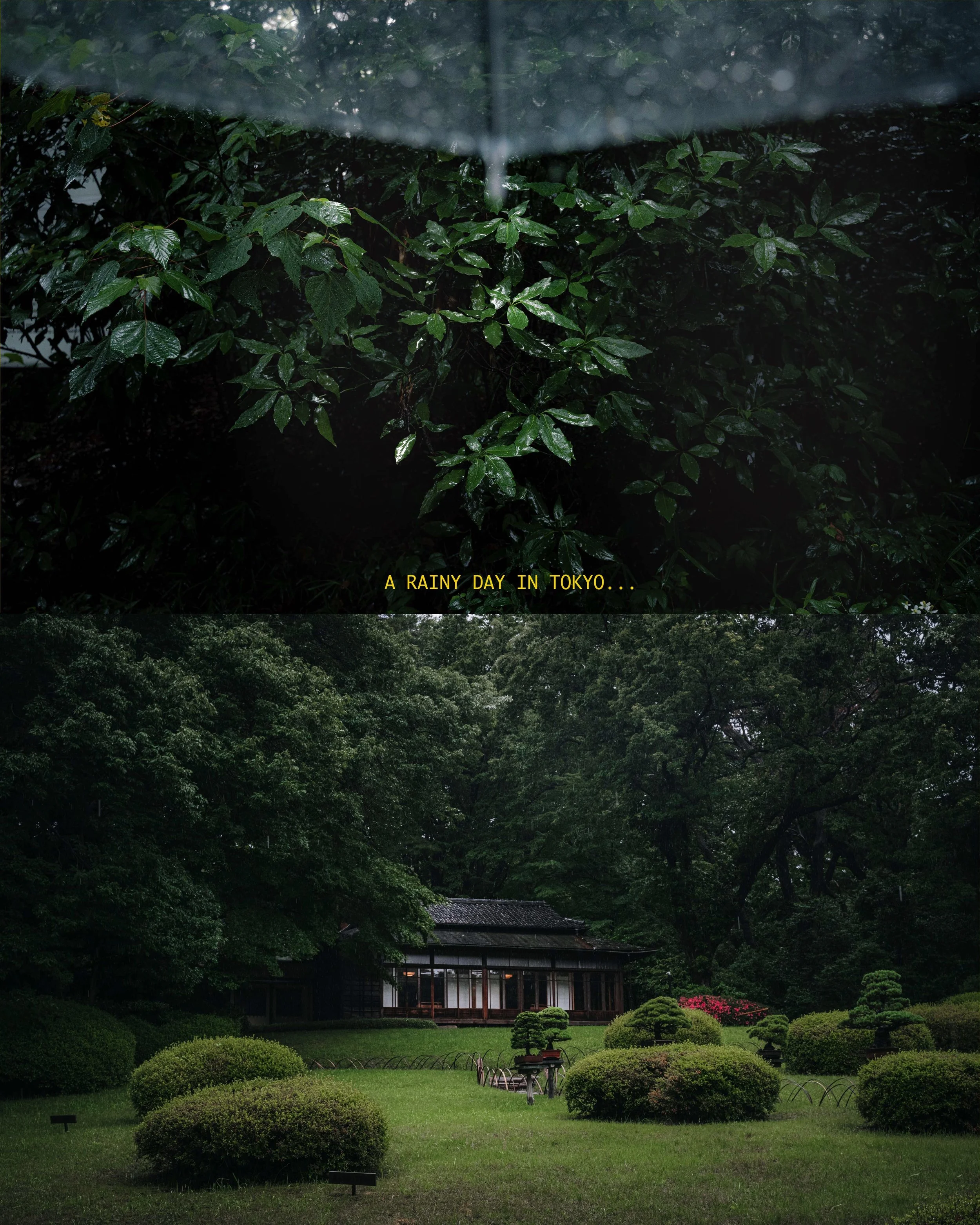 2020-06-17 21.46のイメージ.JPG