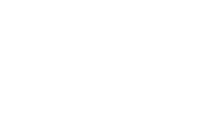 Zoekstrafrechtadvocaat.nl (Copy)
