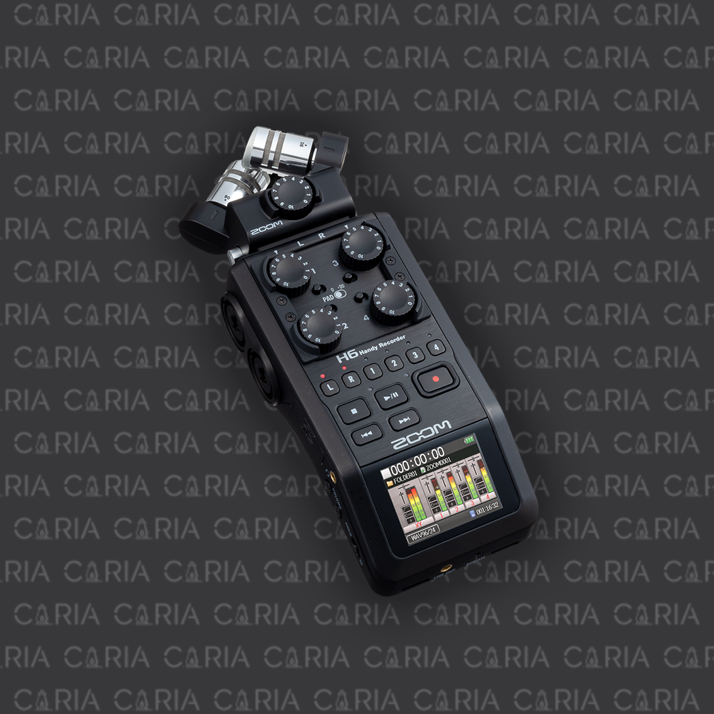 Zoom H6 - 1.png