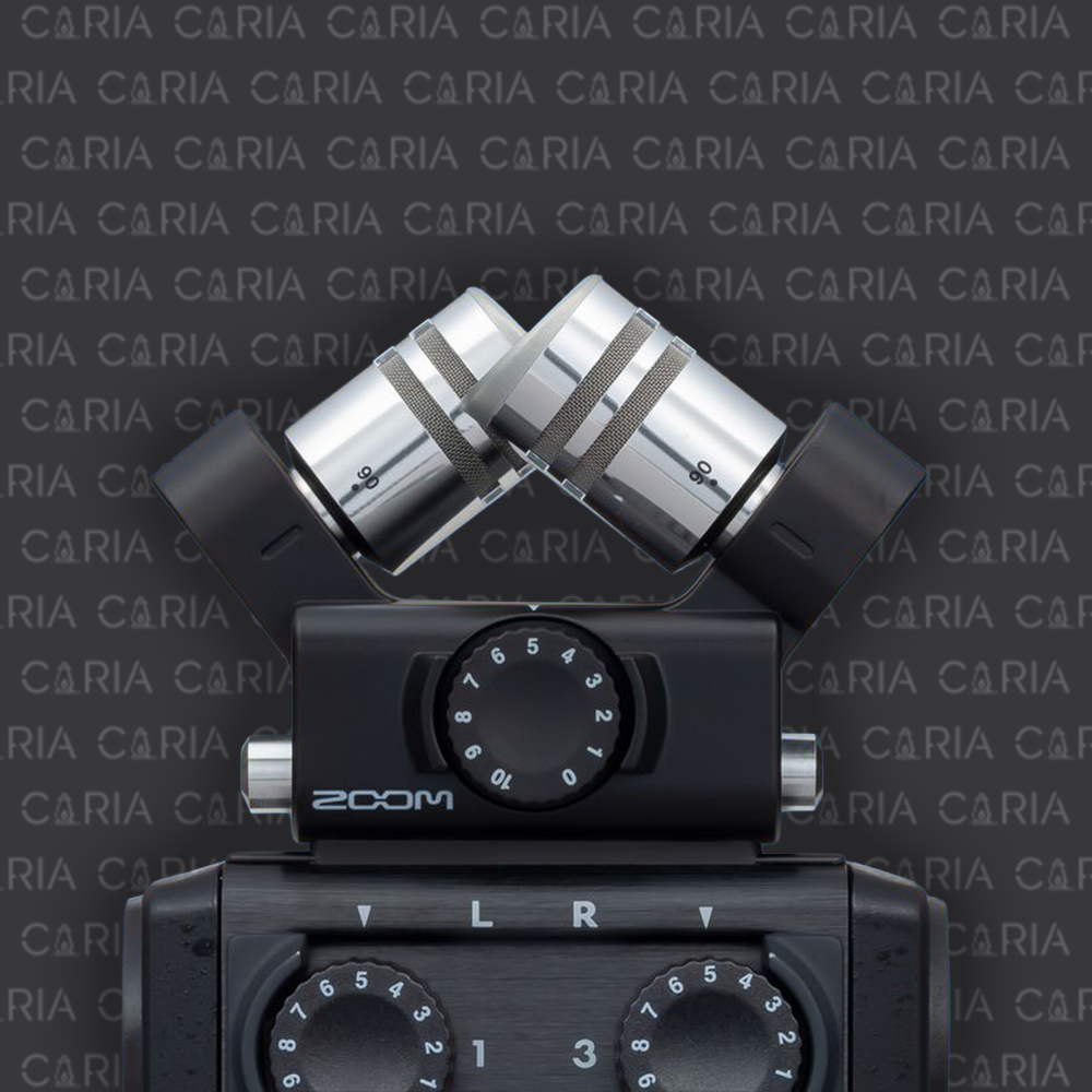 Zoom H6 - 2.png