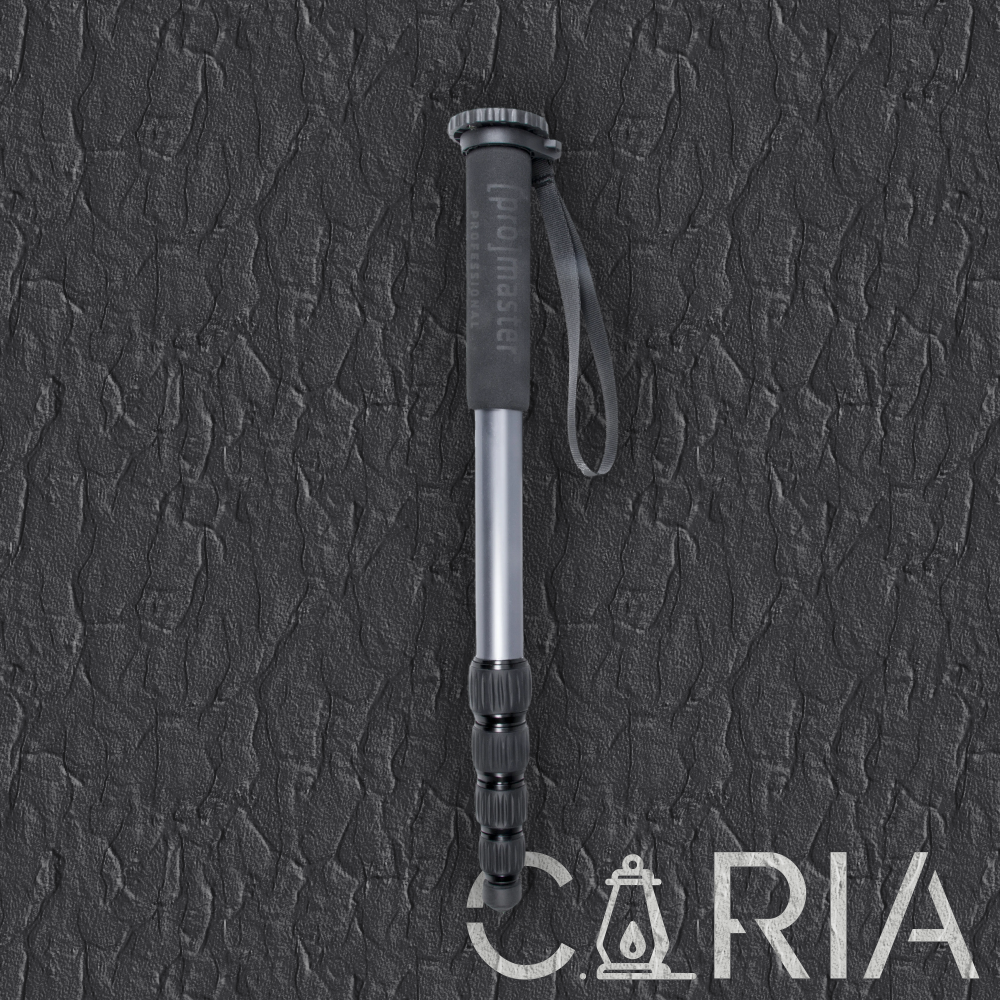 ProMaster MP528 Professional Monopod