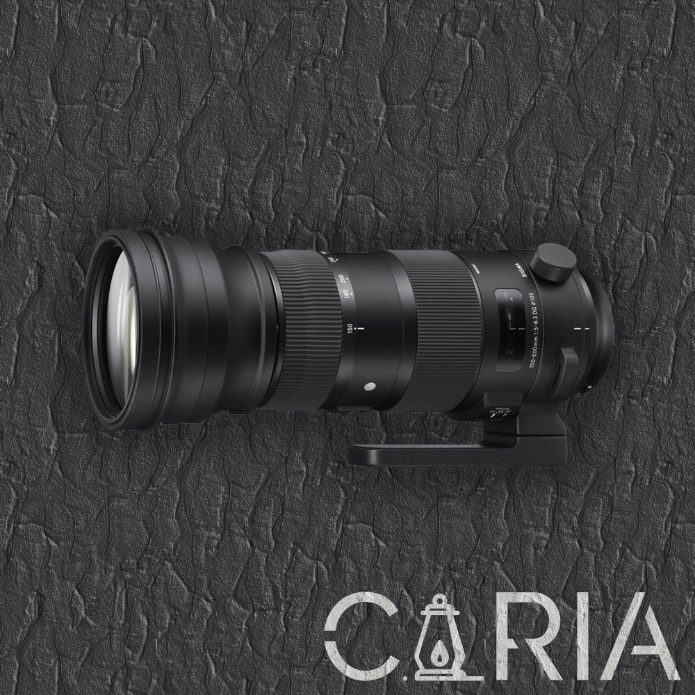 Sigma 150-600mm F/5-6.3 DG DN OS Sports