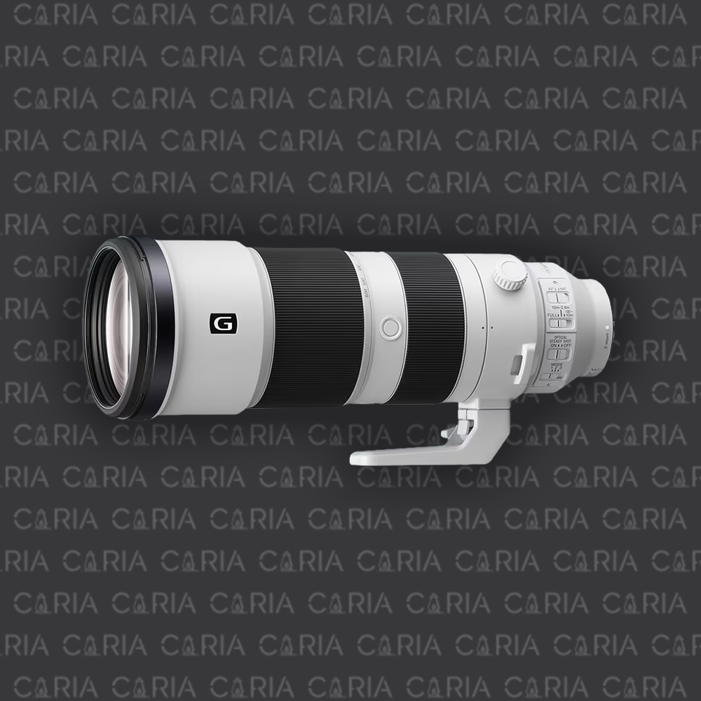Sony 200-600 F5.6-6.3 G OSS.png