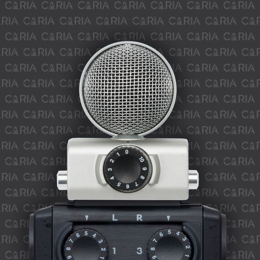 Zoom H6 - 3.png
