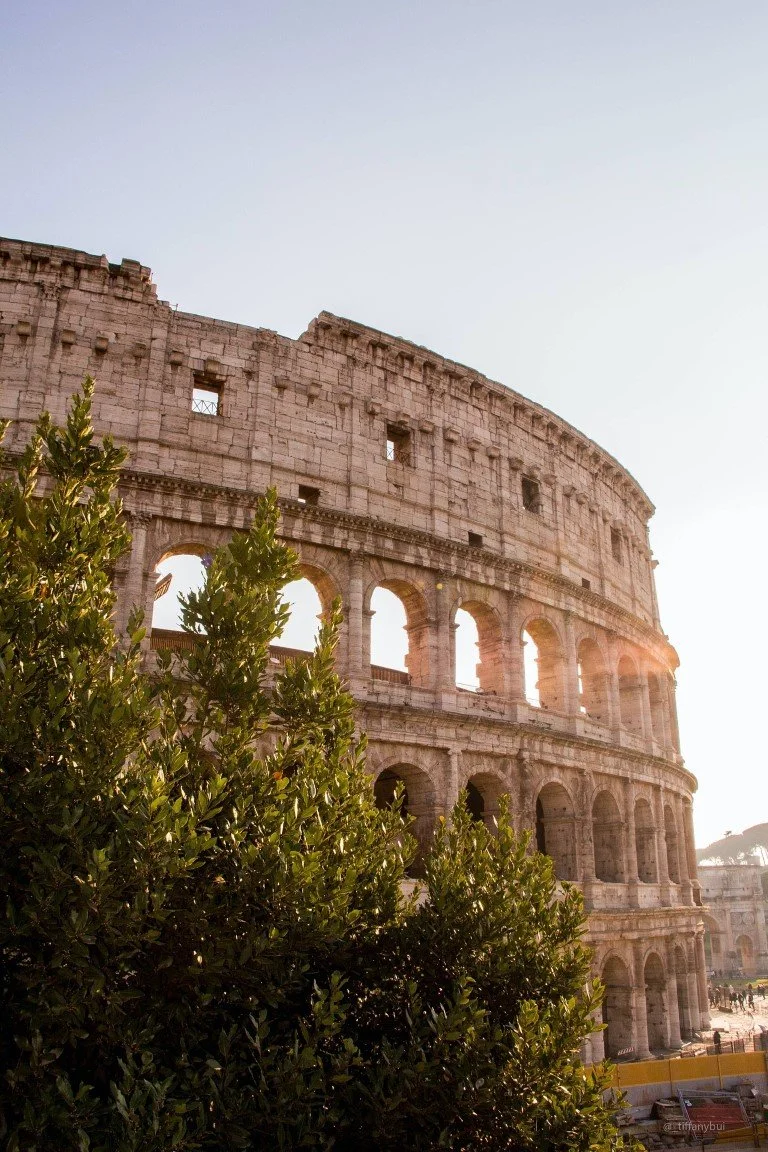 The Colosseum in Rome, Italy, during sunset with a clear sky and some greenery in the foreground.