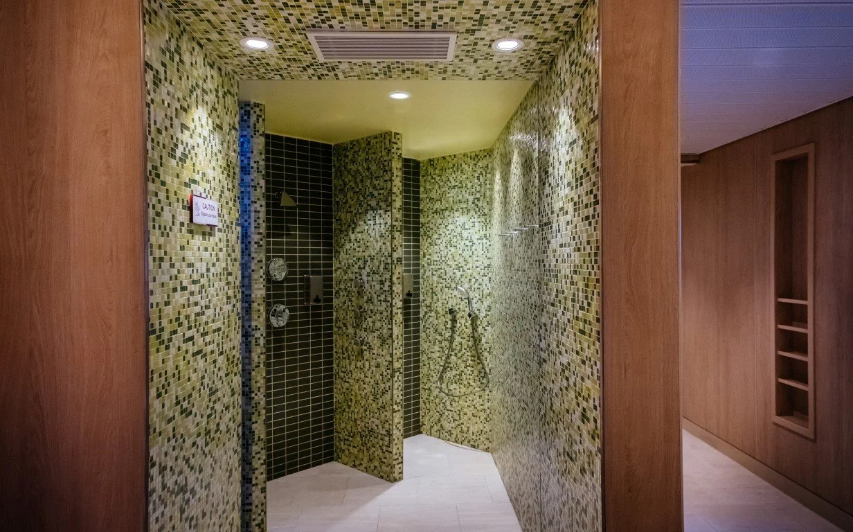 A mosaic tiled shower area with a handheld showerhead on the wall, surrounded by green, black, and beige tiles, with built-in speakers and safety signage.