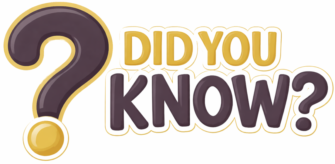 Did you know section image. FAQ section - helping people understand what they get on the cruise