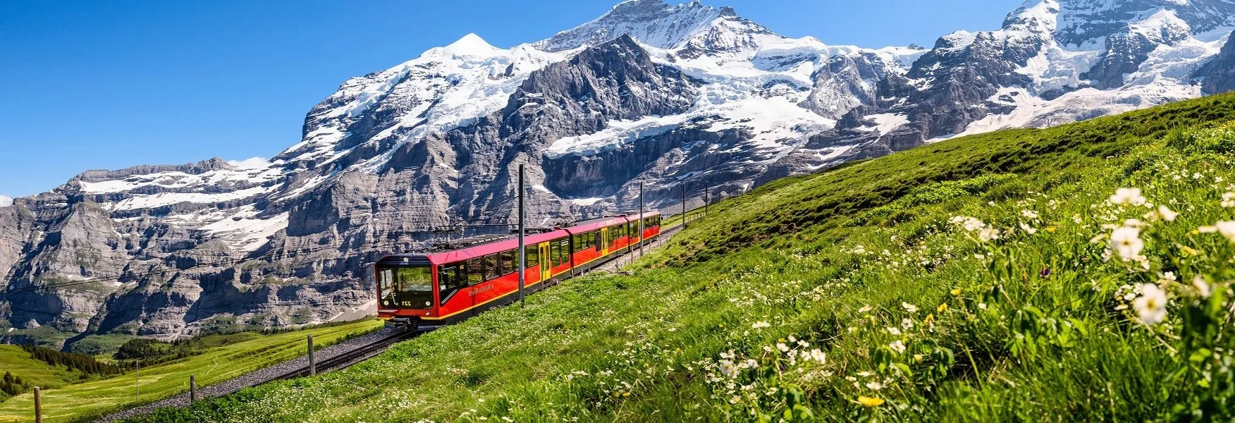 A red train traveling on a track through a green grassy hillside with white flowers, mountains with snow and ice in the background under a clear blue sky.