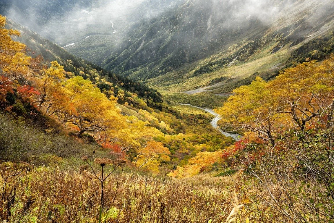 Scenic view of a lush mountain valley with colorful autumn trees, a winding river, and fog-covered peaks in the background.