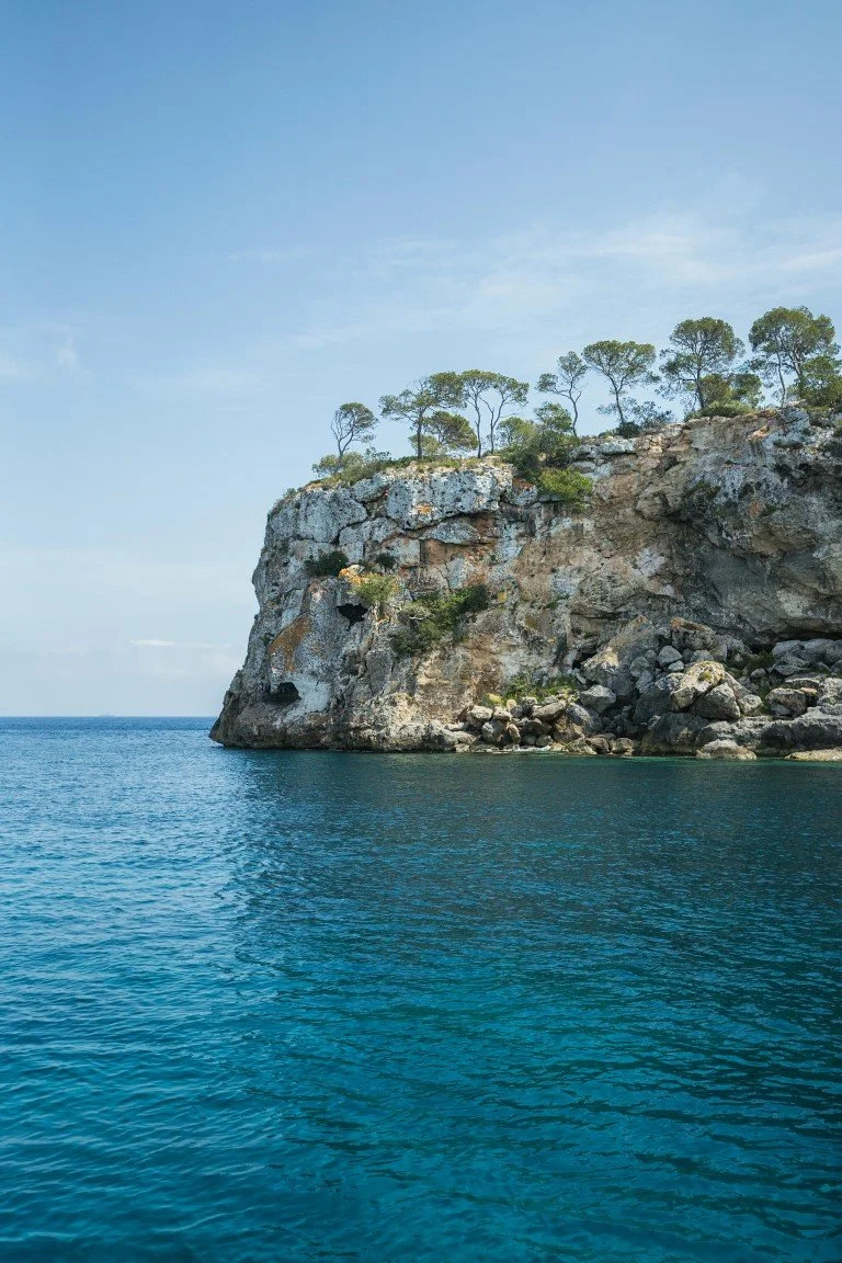 A rocky cliff with sparse trees at the top next to the ocean under a clear blue sky.