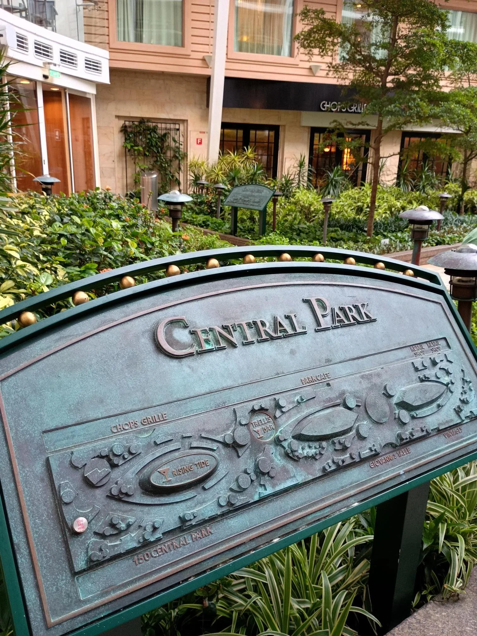 Central Park Allure of Seas.jpg