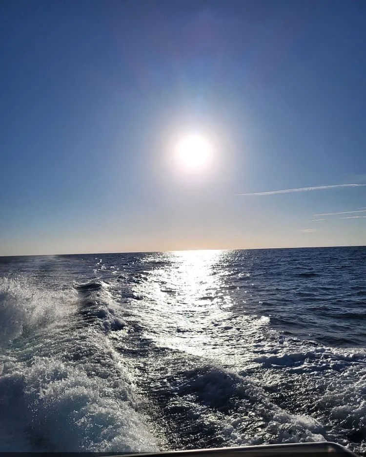 jayne portugal 3.jpg