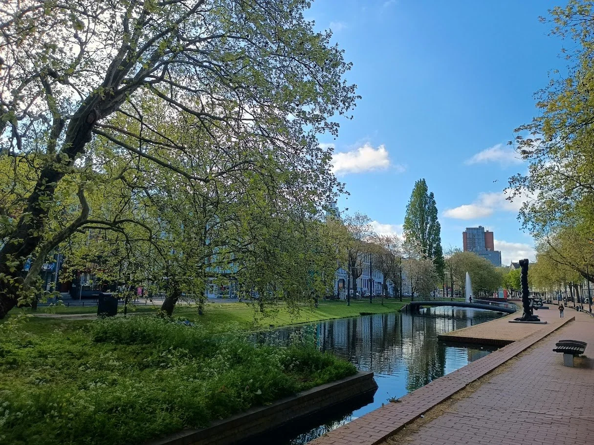 Rotterdam central canal.jpg