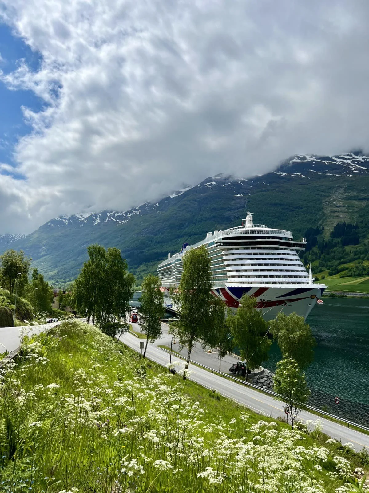 A large cruise ship docked in a fjord, surrounded by green trees and mountains with snow patches, cloudy sky overhead.