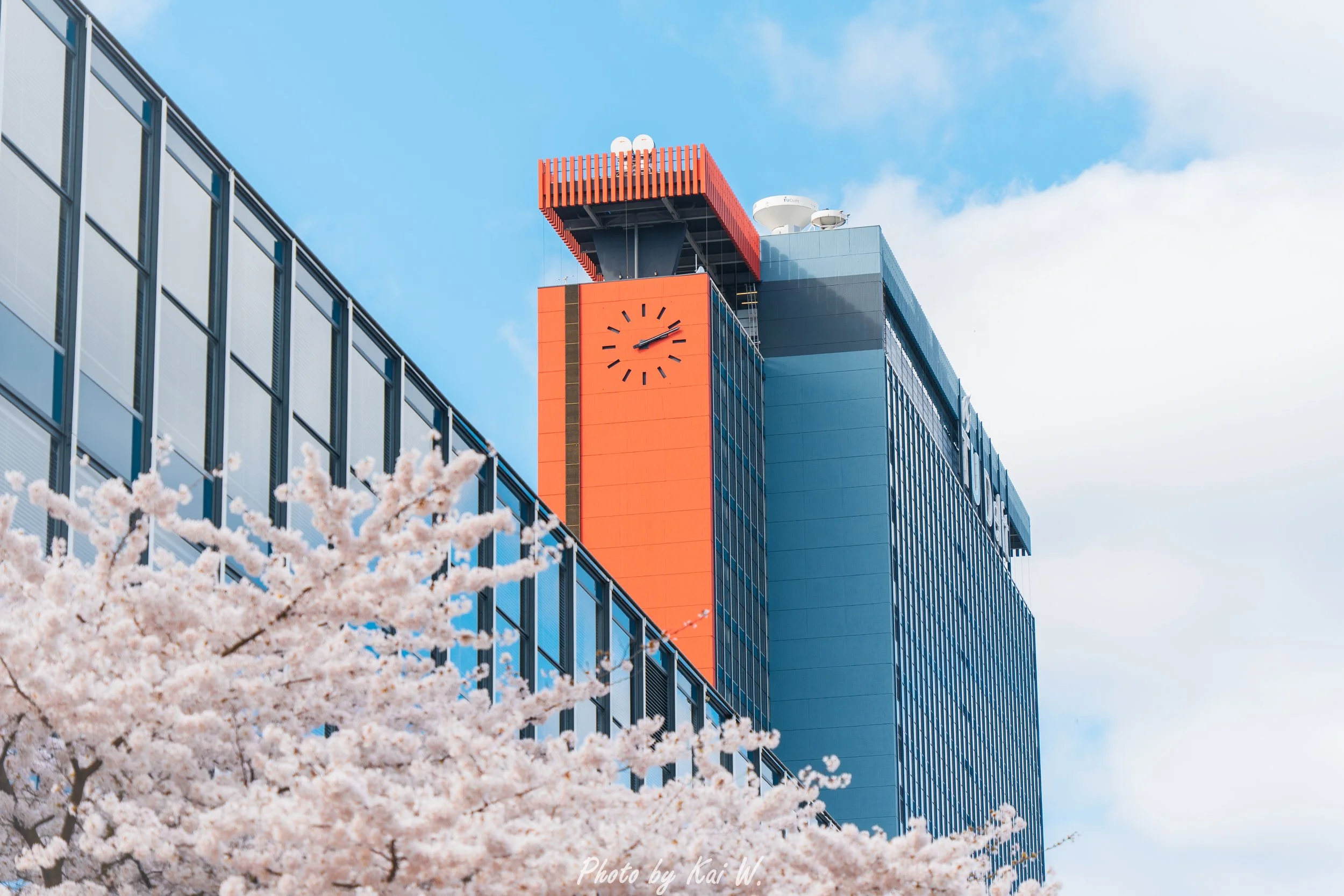 Delft University and cherry blossom