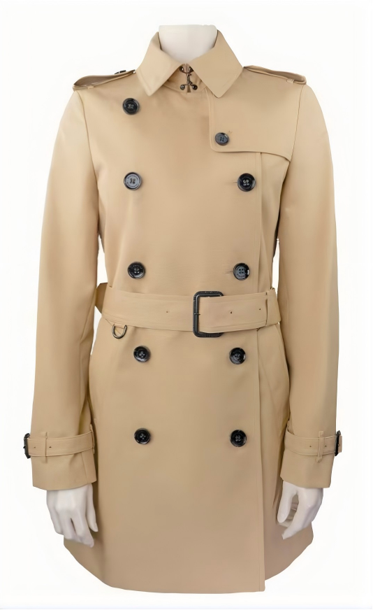 burberry coat brown.png