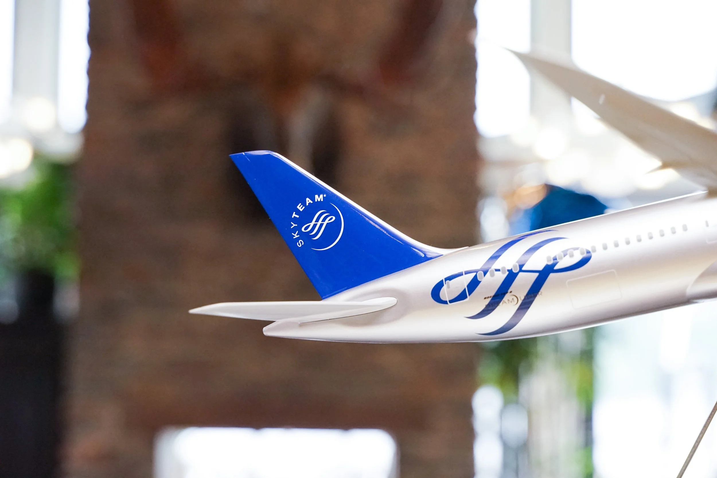 skyteam 25 anniversary logo.jpg