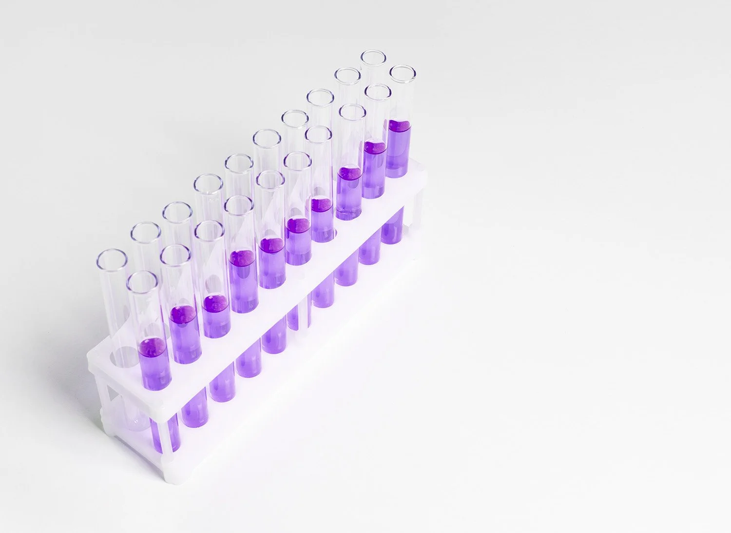 A white plastic test tube rack holding 18 clear test tubes filled with purple liquid on a white background.