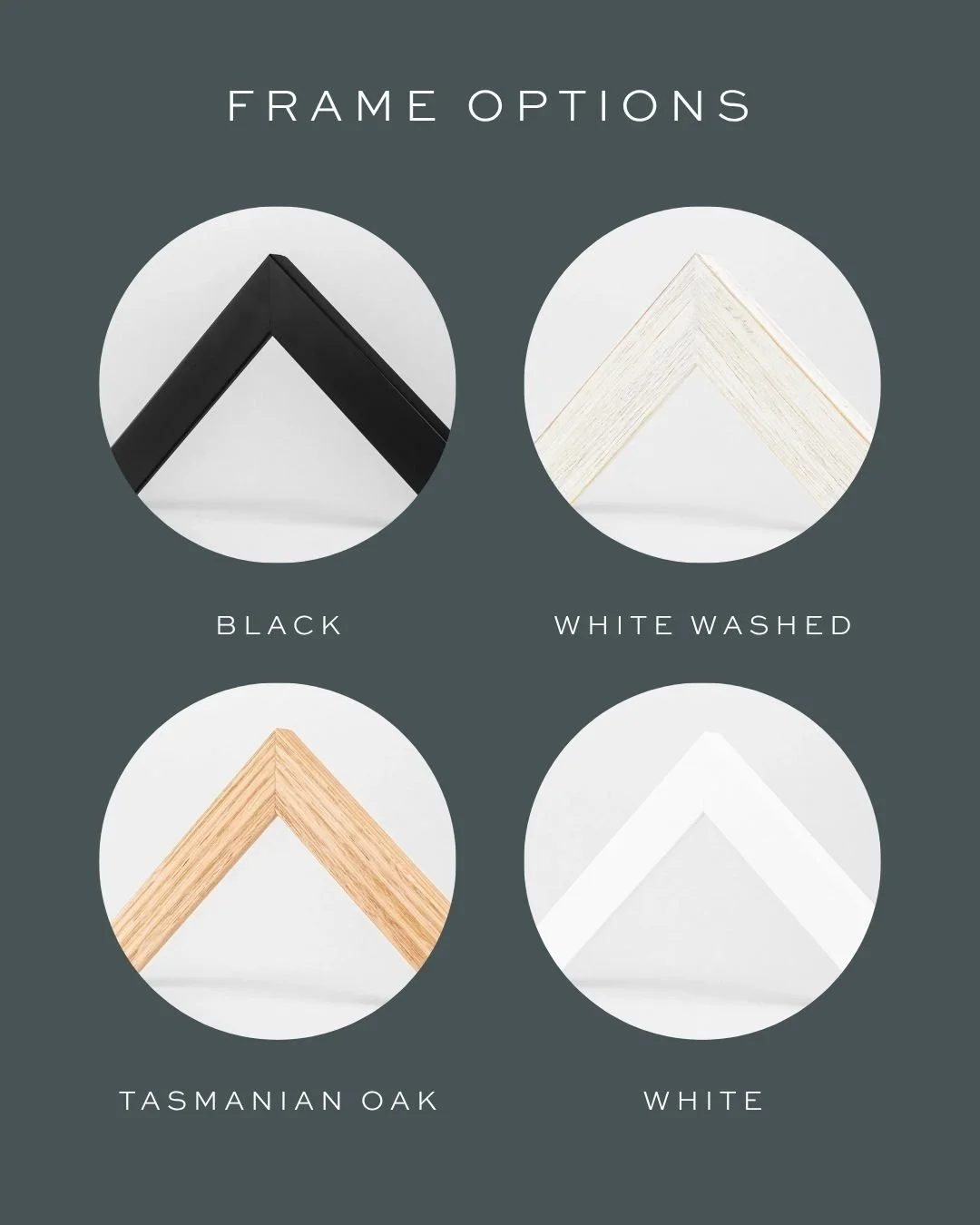 B&CO Social Posts (4).jpg
