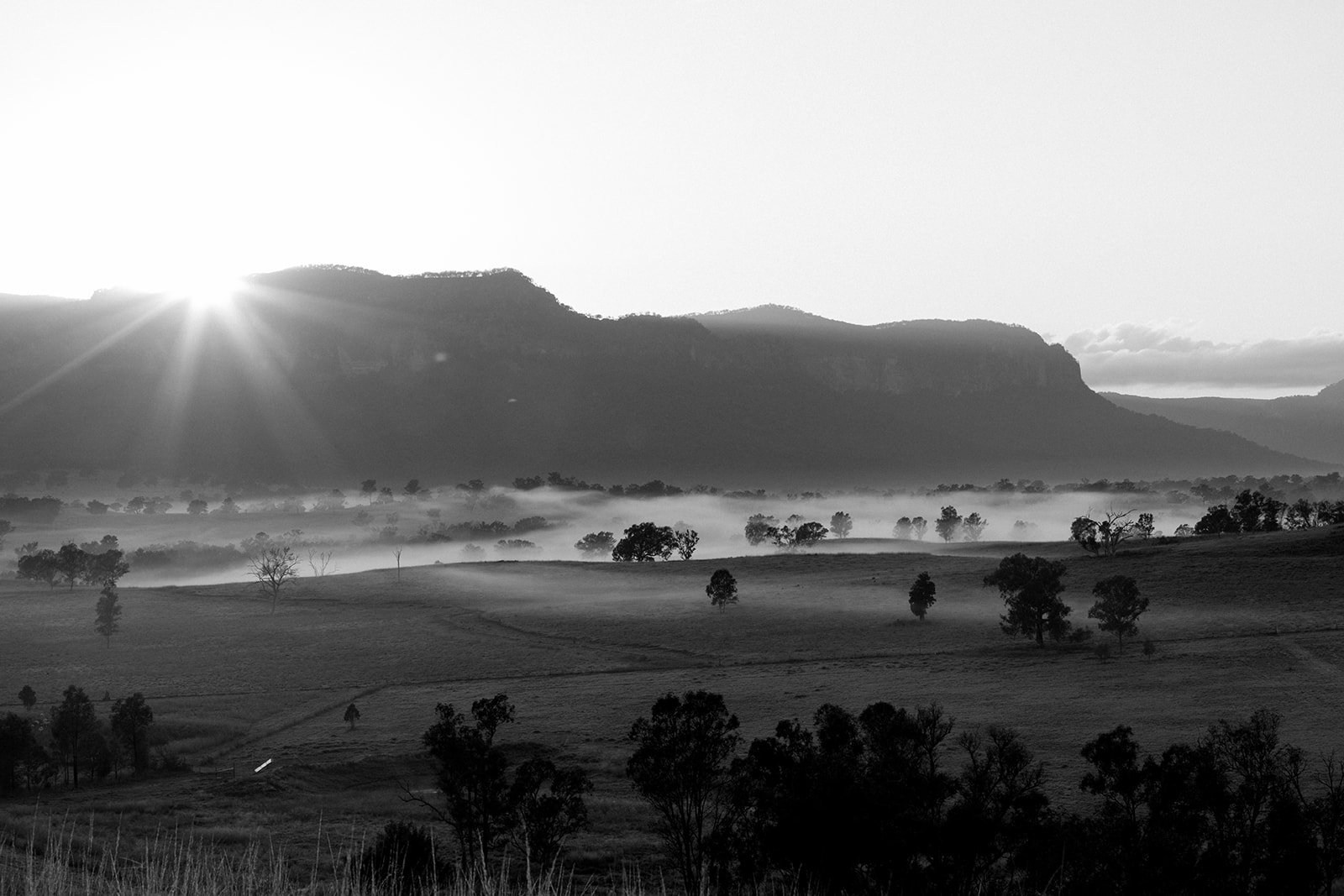 B&W Misty Landscape
