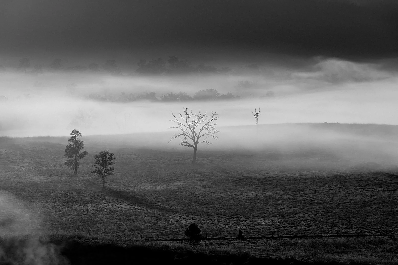 B&W Misty Landscape II