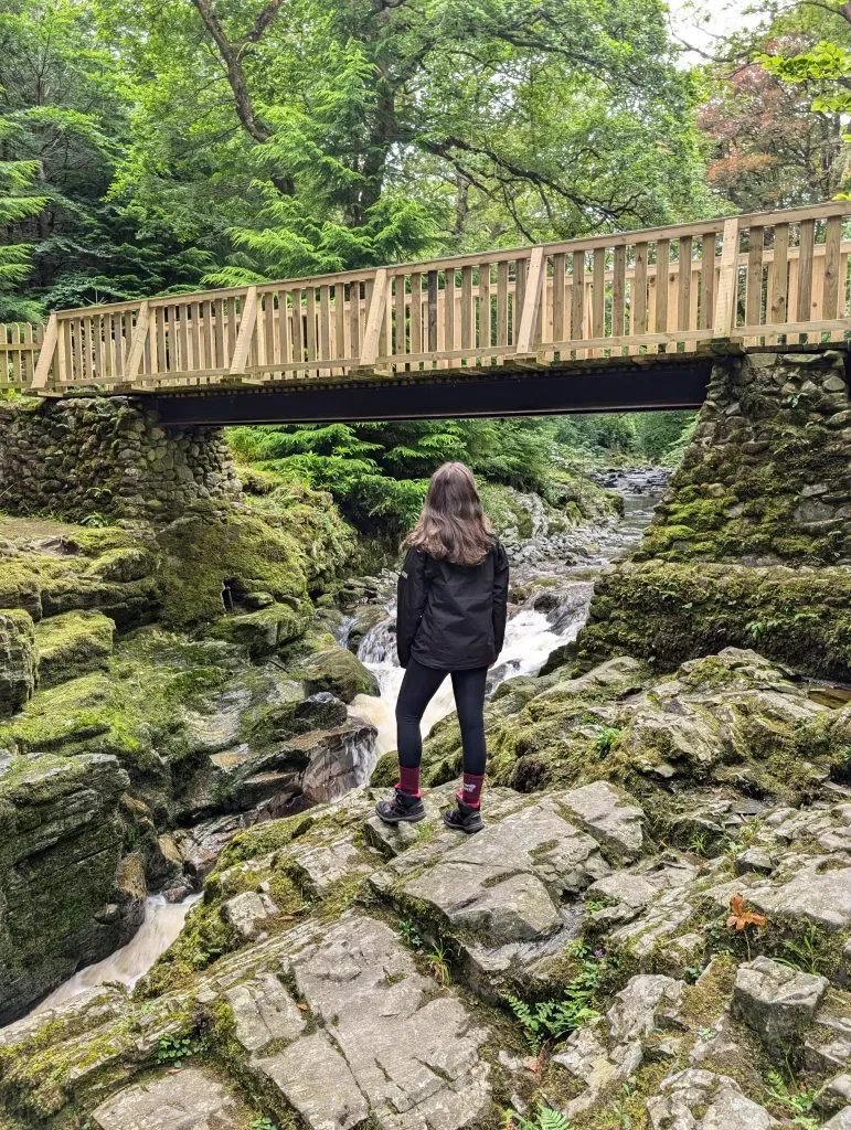 Discover One Of The Best Hiking Trails In Ireland: Tollymore Forest Park