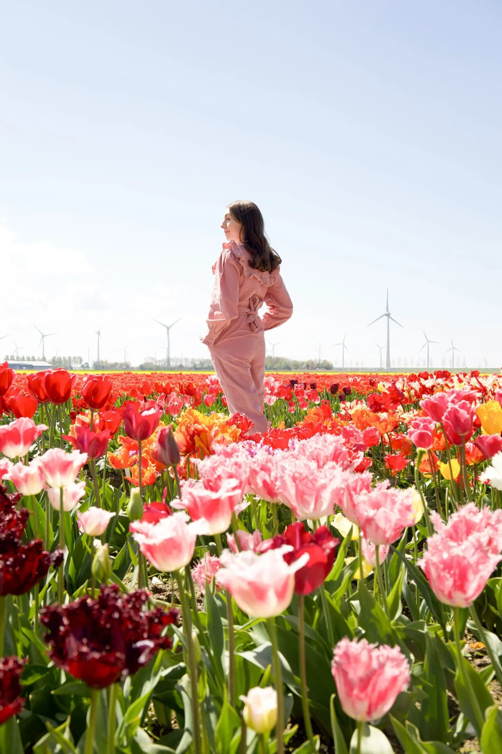 Tulip Season 2026: Where to See the Most Stunning Tulip Fields in Holland