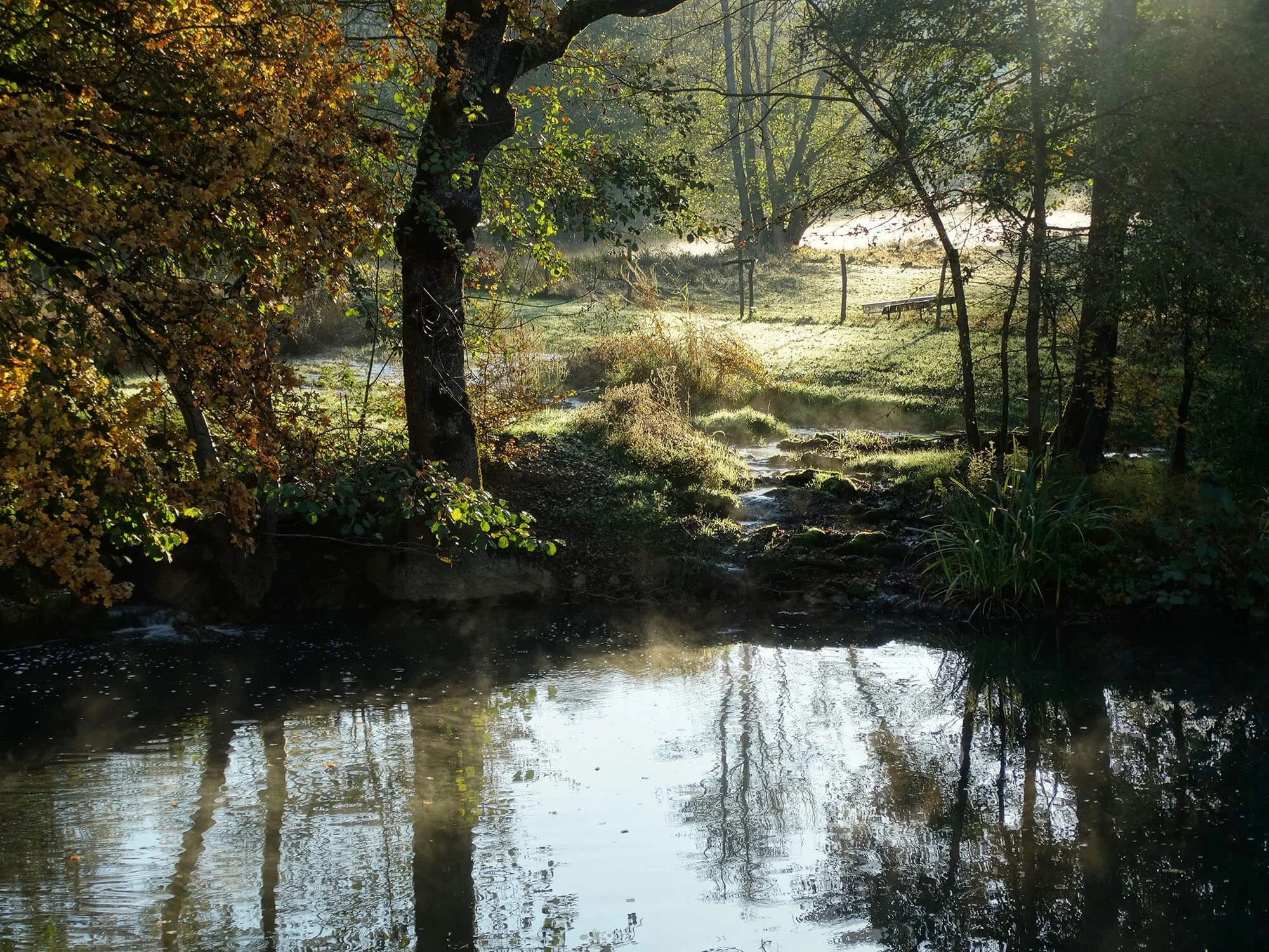 A peaceful river scene at sunrise with mist rising from the water, sunlight filtering through the trees, and reflections on the calm surface.