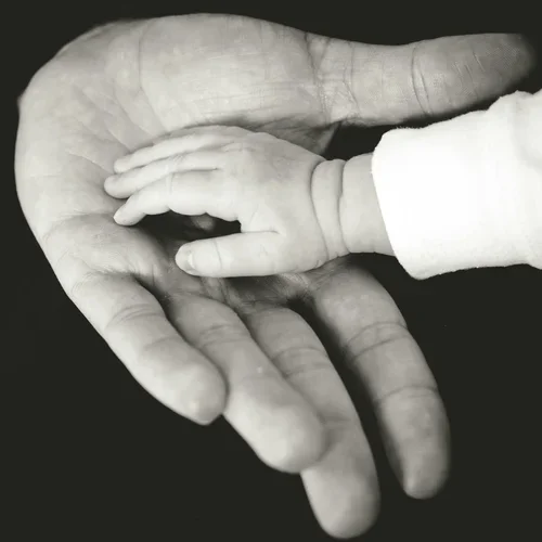 Black and white photo, a baby hand in the palm of an adult hand