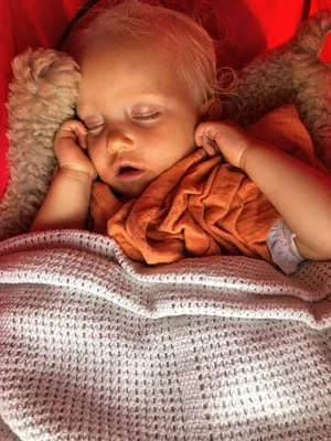 A young child sleeping peacefully in bed with a blanket, with a cat lying next to them.