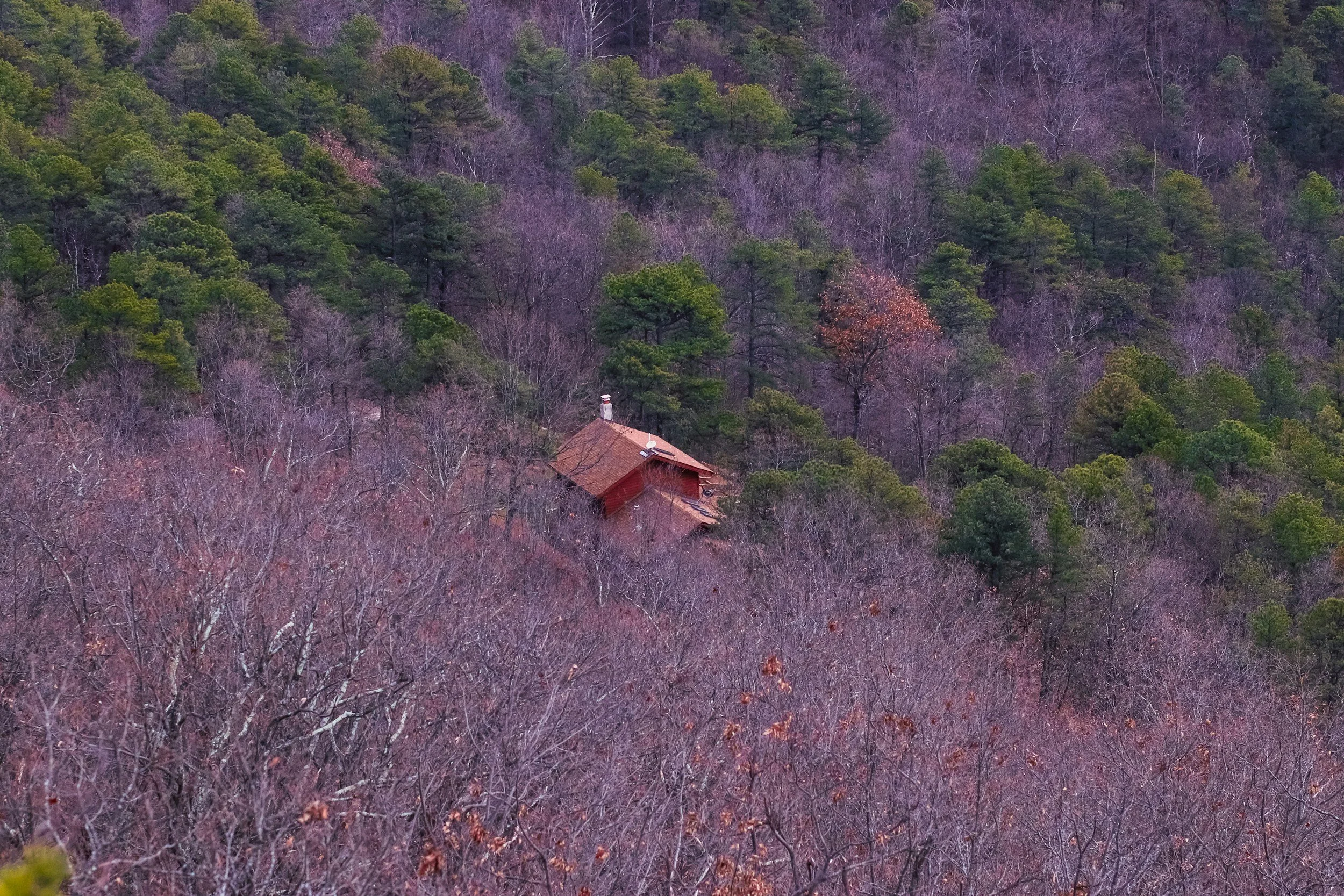 A house surrounded by a dense forest, with trees that are mostly bare and others with green foliage, on a hillside.