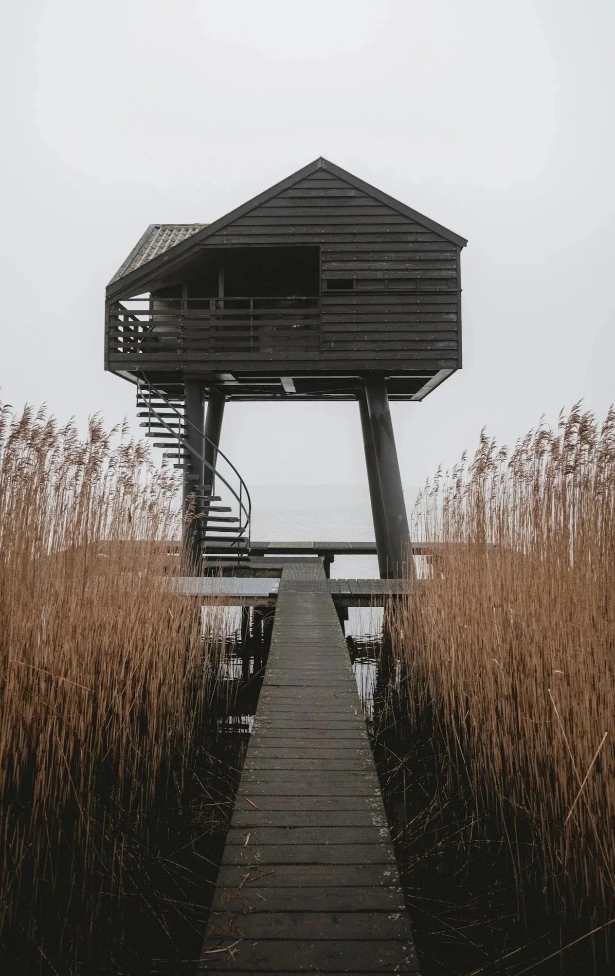 A dark wooden house on stilts connected by a walkway through tall dry grasses with an overcast sky in the background.