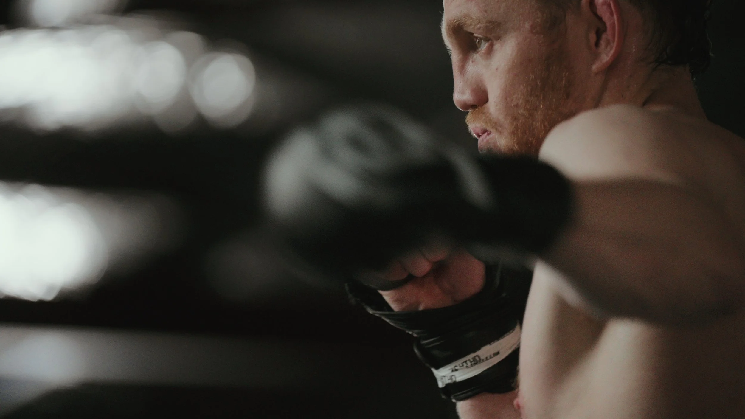 UFC - Countdown