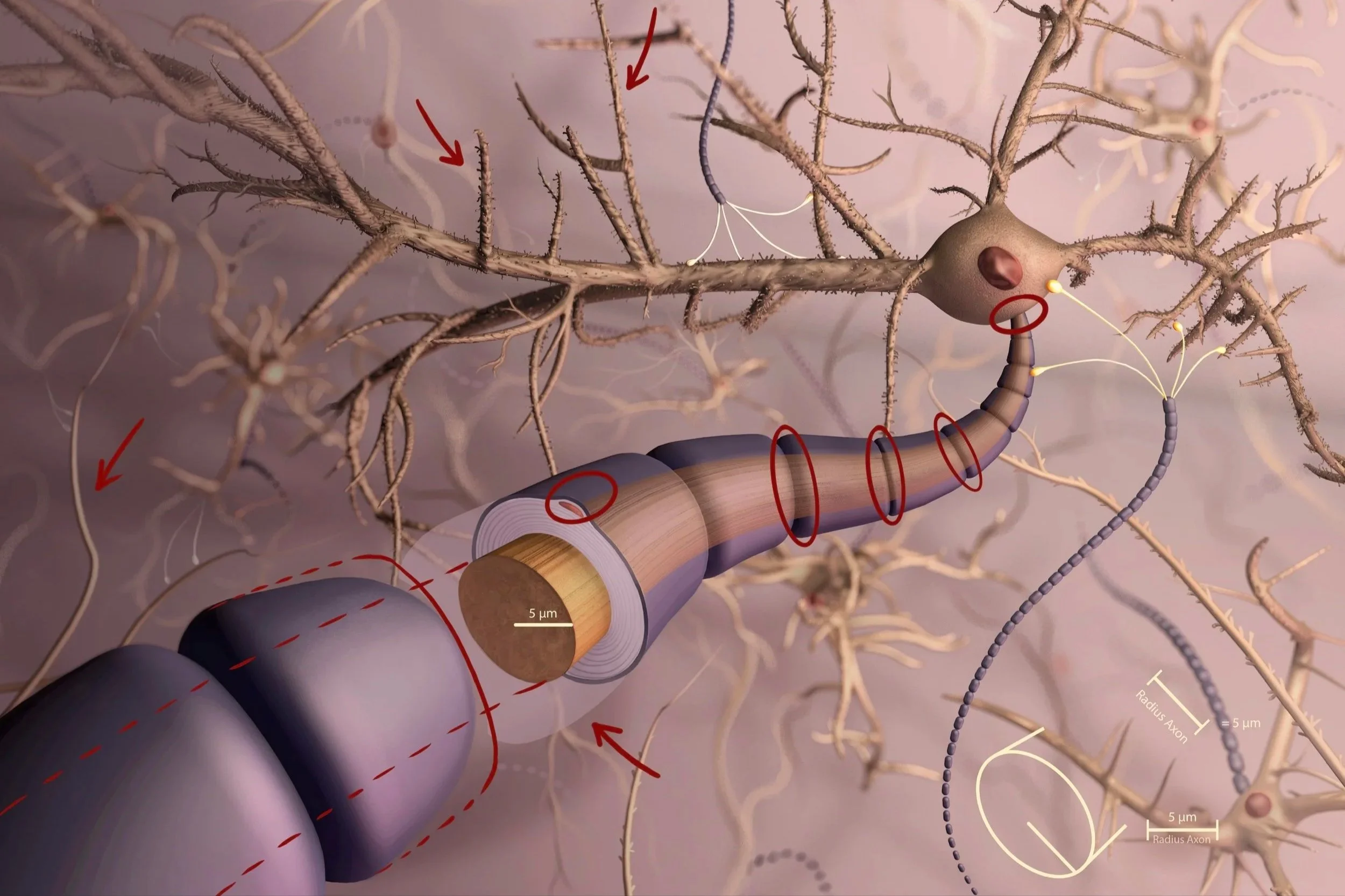 Notizen zu Überarbeitungen