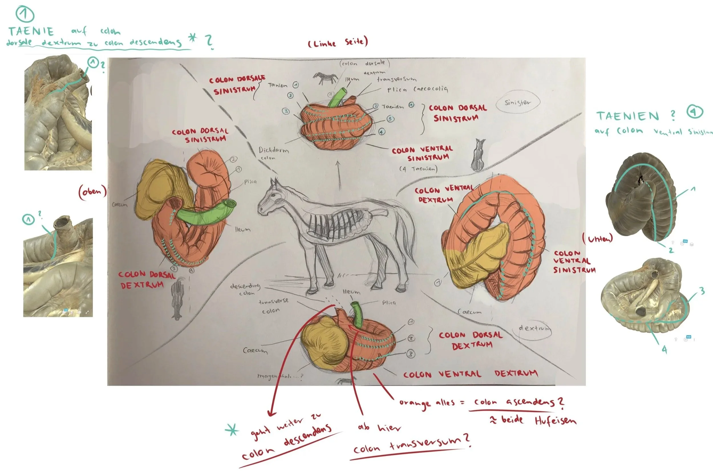 Erste Skizze anhand von Modellen