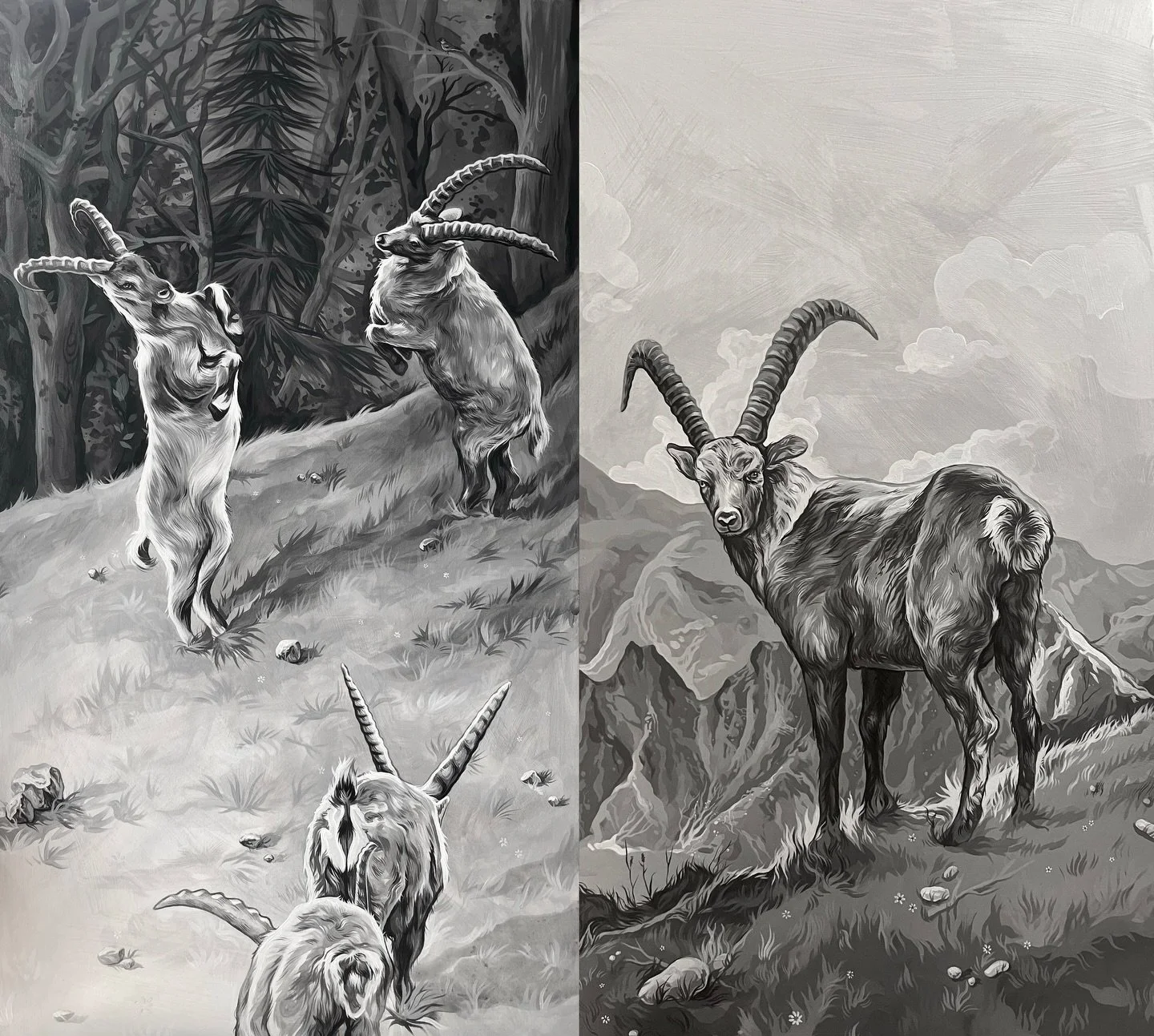 Have I stopped painting? Nope, I just forgot to post anything along the way &ndash; so let me try to gradually catch you up! 🤍 This was an amazing comission of two paintings of ibex, made with acrylics in black and white. Some of the photo reference