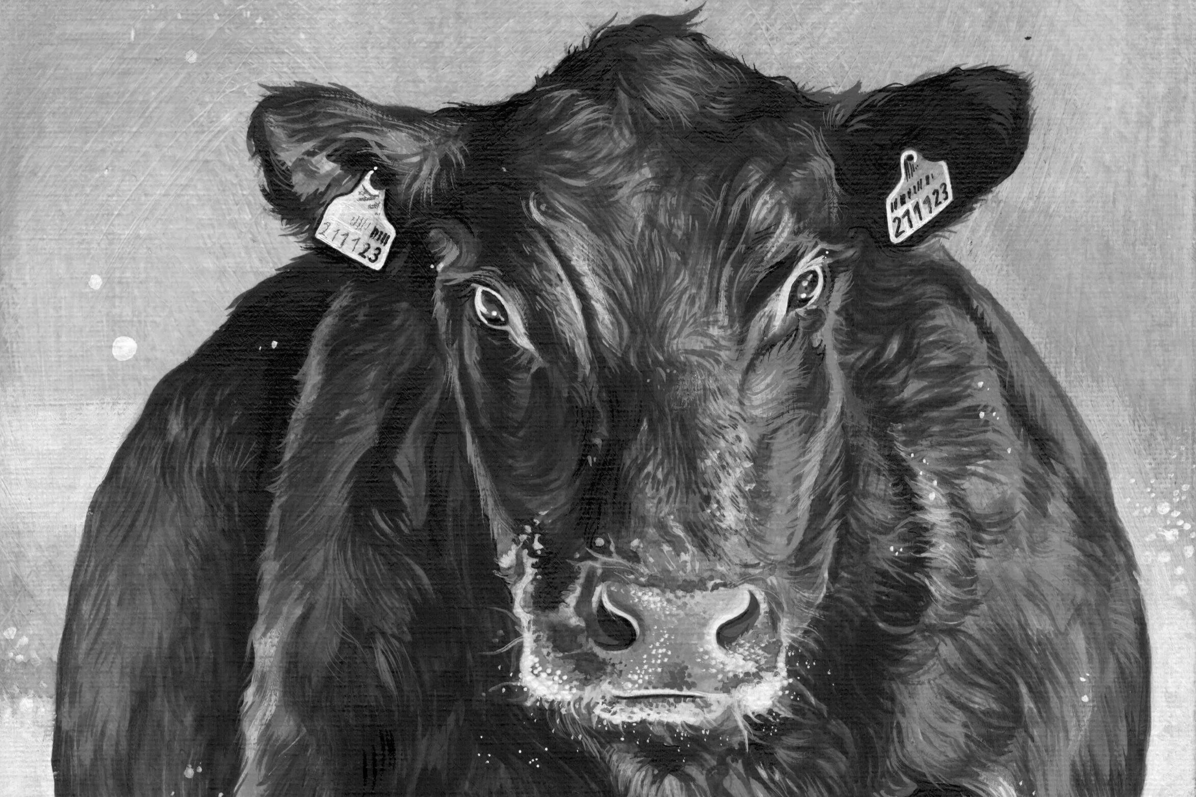 Schwarz-weiß Malerei eines Bullen mit Ohrmarkierungen.