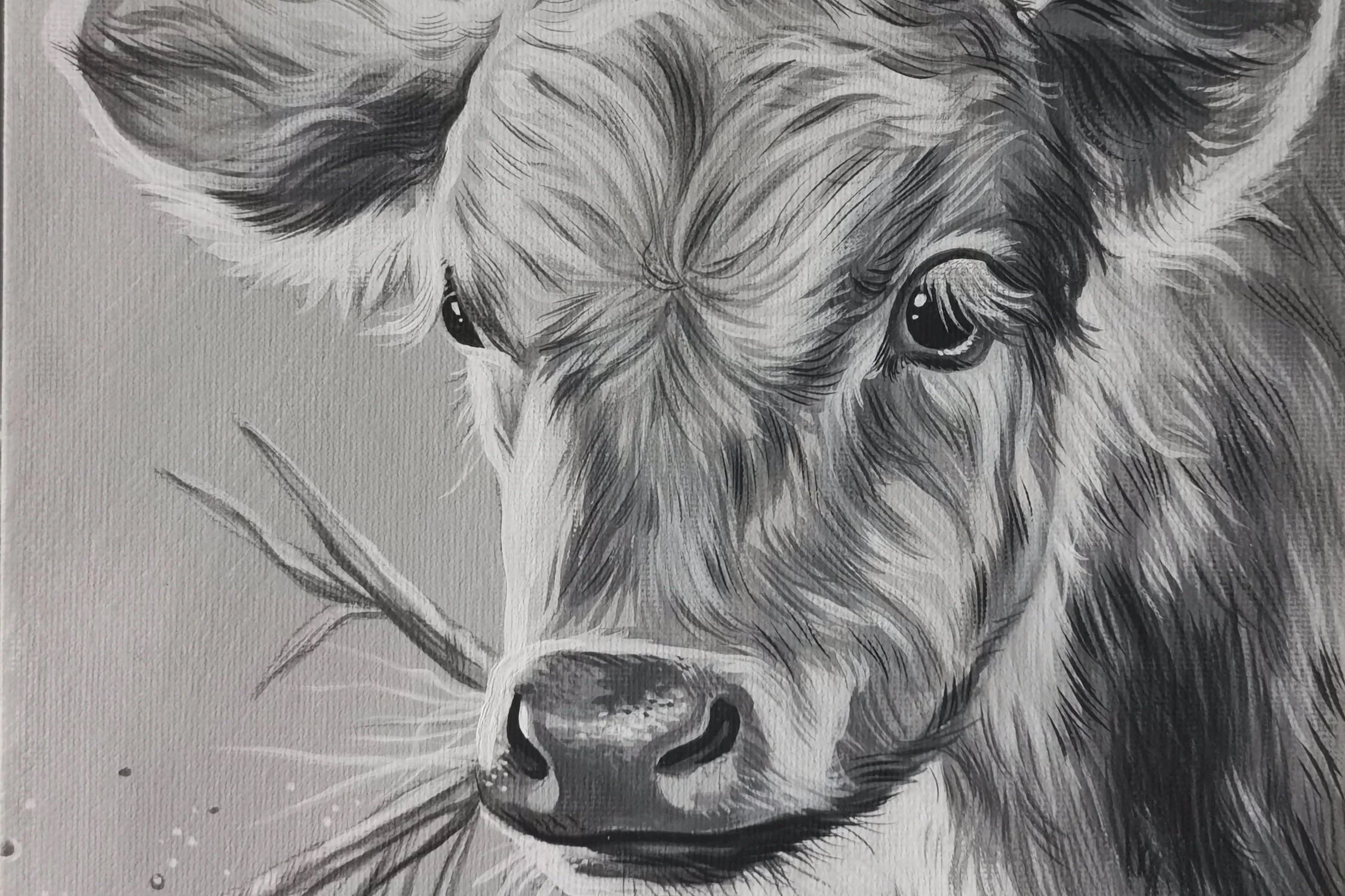 Schwarz-weiß-Bild eines Hundes mit Blick in die Kamera, mit einem Grashalm im Maul.