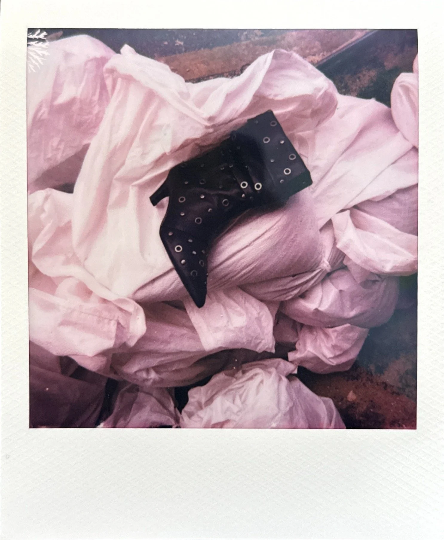 ASH_POLA_IMG_0462.JPG