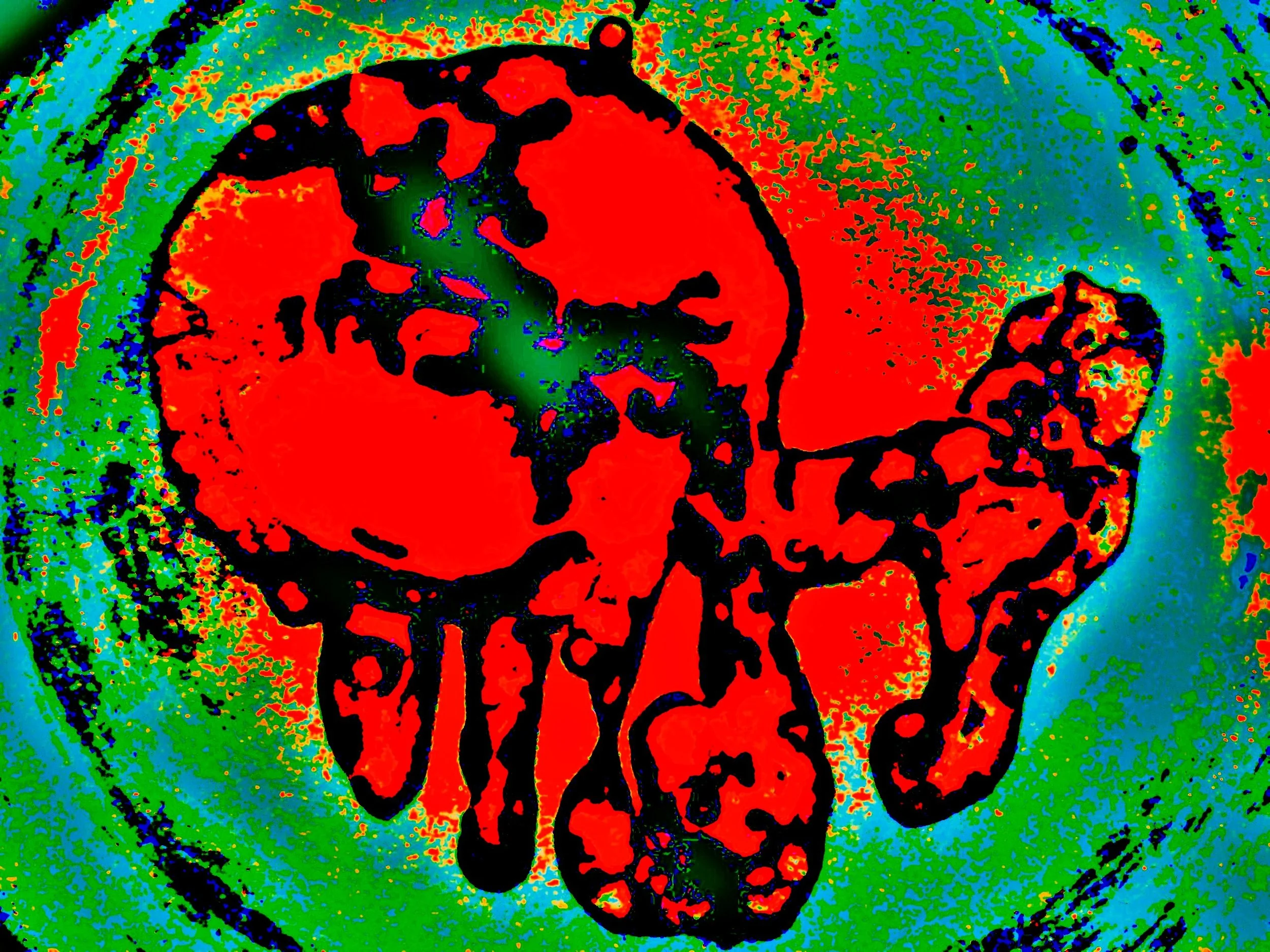 A digital illustration of a skull with a map of the world inside it, surrounded by a colorful abstract background.