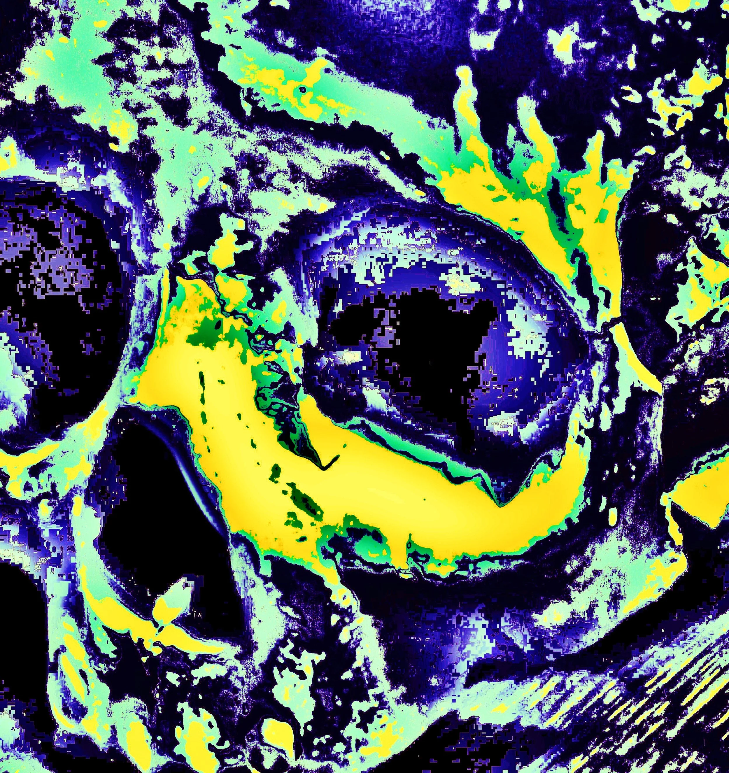 Close-up of a rose with a highly stylized, abstract appearance using bold yellow, green, purple, and blue colors.