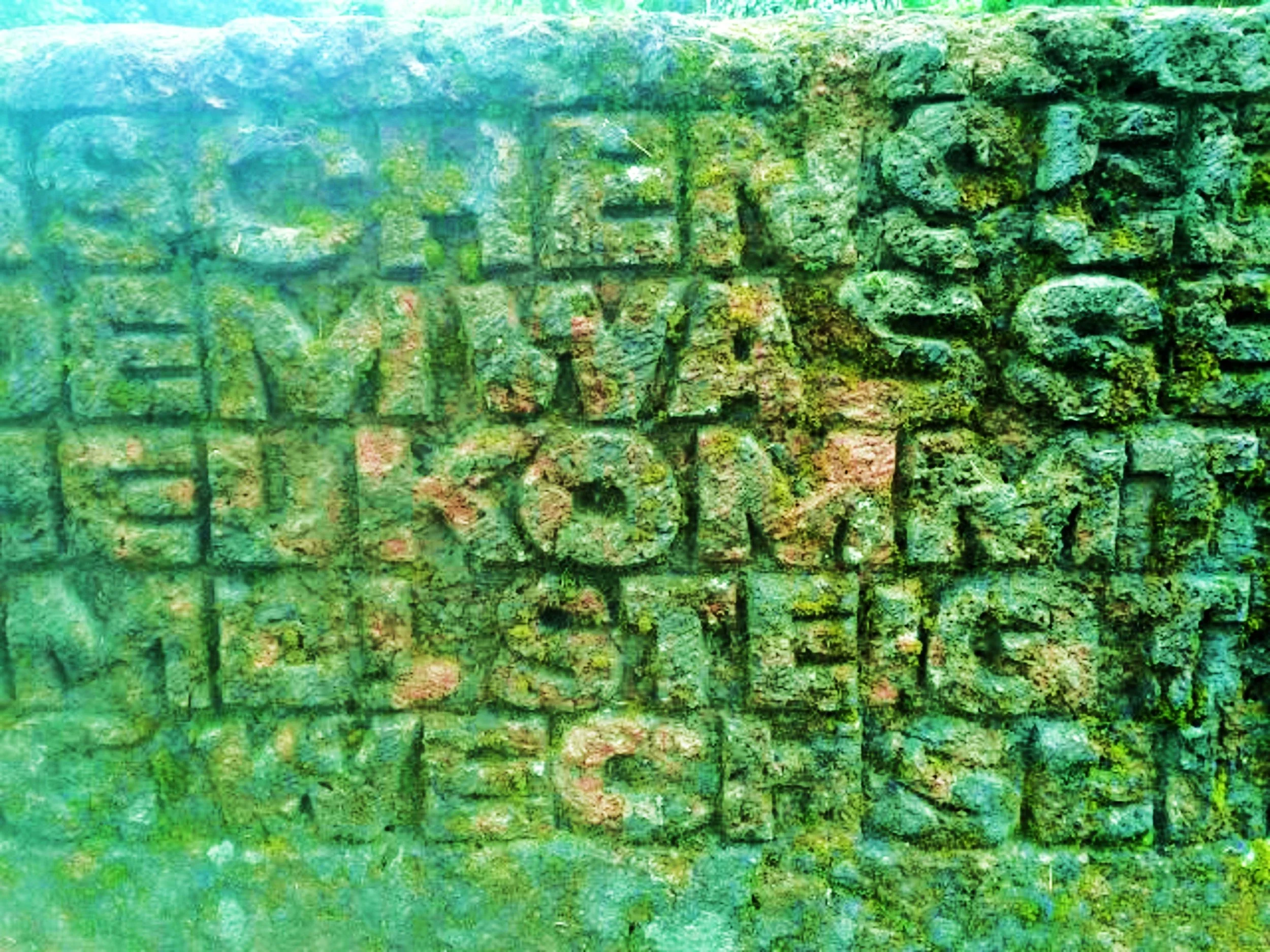 Close-up of a carved stone sign with the words 'Summer Fley' engraved, covered in moss and lichen.