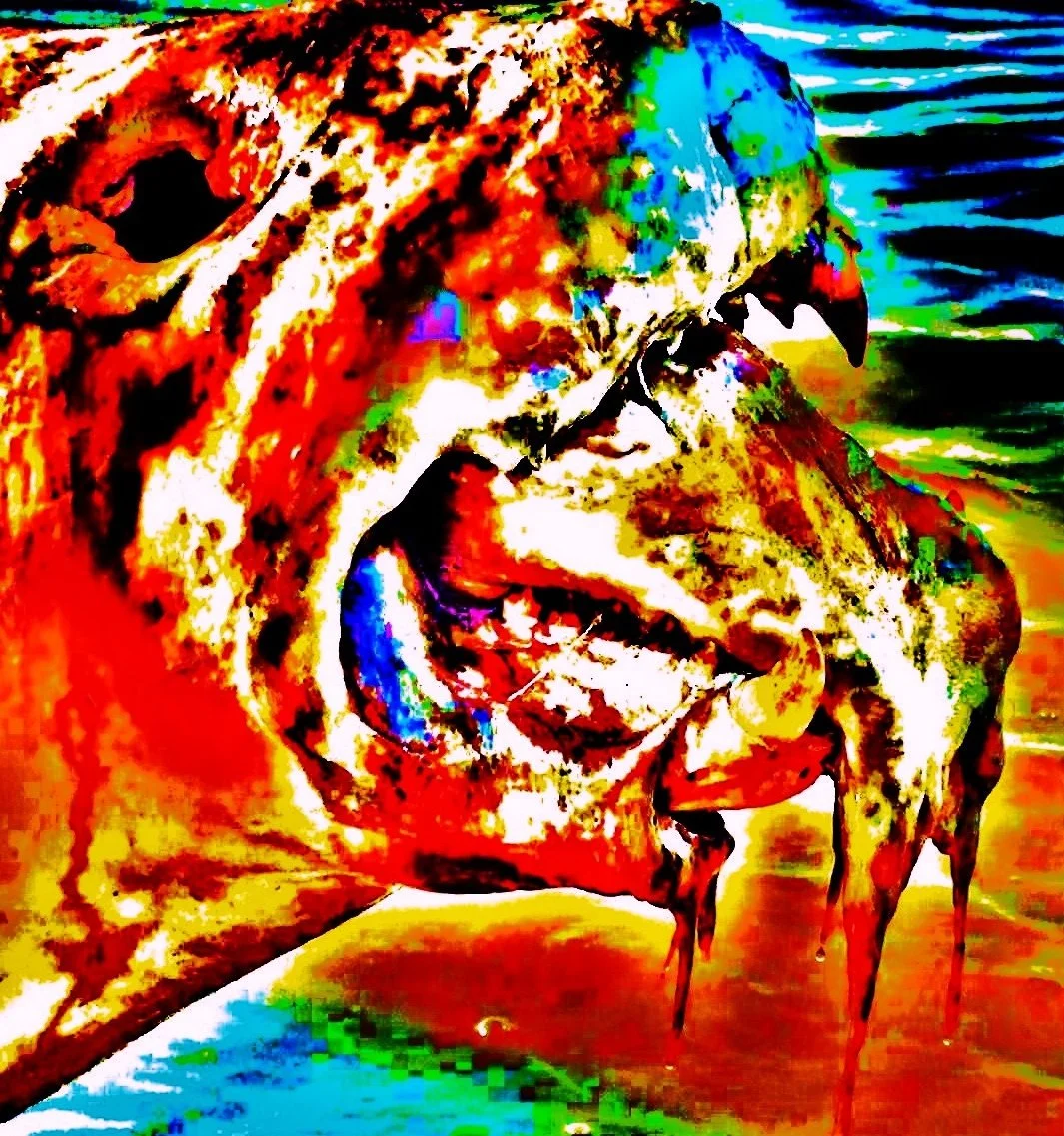 Close-up of a dinosaur skull with vibrant, distorted colors and a background of water.