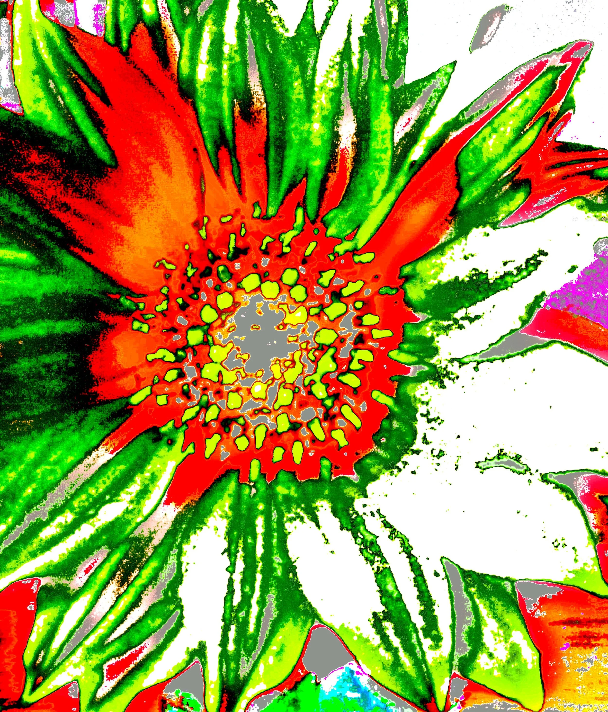 A digitally altered colorful flower with green, red, and pink petals